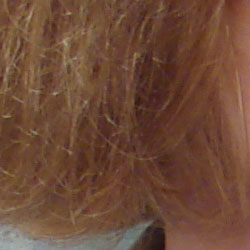 Subtle detail: Hair Noise suppression tends to blur detail in areas of subtle contrast, as in