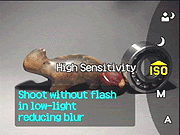 Sony Cyber-shot DSC-H2 Operation image 3