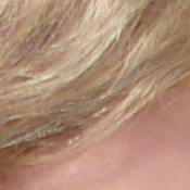 ISO 80