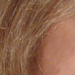 Subtle detail: Hair Noise suppression tends to blur detail in areas of subtle contrast, as in