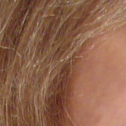 Subtle detail: Hair Noise suppression tends to blur detail in areas of subtle contrast, as in