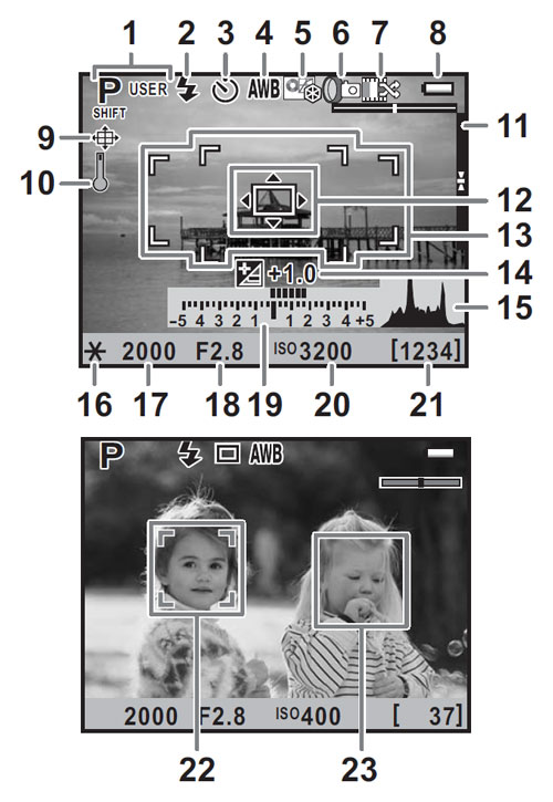 Pentax K-5 Live View image 3