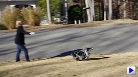Pentax K-5 Video image 3
