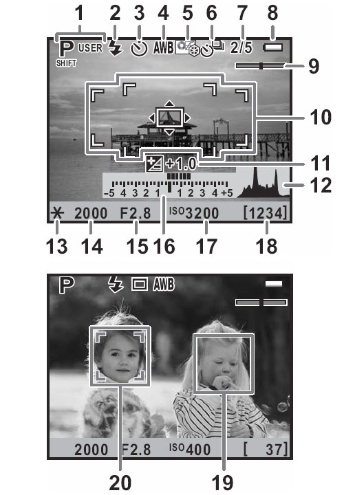 Pentax K-7 Live View image 2
