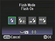 Pentax K-7 Flash image 2