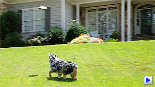 Pentax K-7 Video image 5