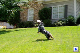 Pentax K-7 Video image 3