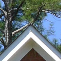 Definition of high-contrast elements is affected by noise suppression and there's evidence of minor edge enhancement.