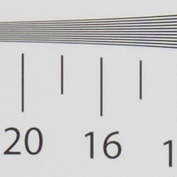 ACR converted RAW: Strong detail to 1,700 lines vertical