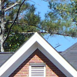 Definition of high-contrast elements is compromised by noise suppression, and there's also evidence of edge enhancement.