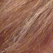 LZ7 Exposure image 14