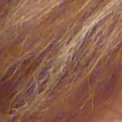 LZ7 Exposure image 15