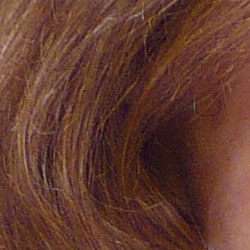 Subtle detail: Hair Noise suppression blurs detail in areas of subtle contrast, as in the darker