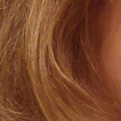 Subtle detail: Hair Noise suppression tends to blur detail in areas of subtle contrast, as in