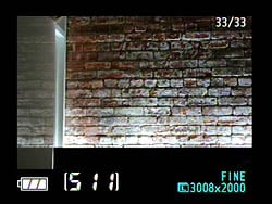 D40 Viewfinder image 4