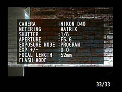 D40 Viewfinder image 6