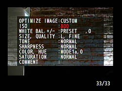 D40 Viewfinder image 7