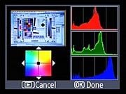 D40X Retouch image 16