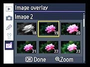 D40X Retouch image 9