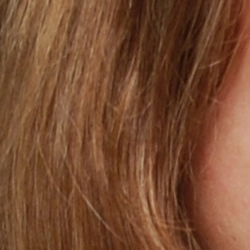 Subtle detail: Hair Noise suppression tends to blur detail in areas of subtle contrast, though detail