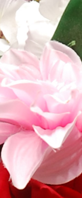 D60 Imaging image 42