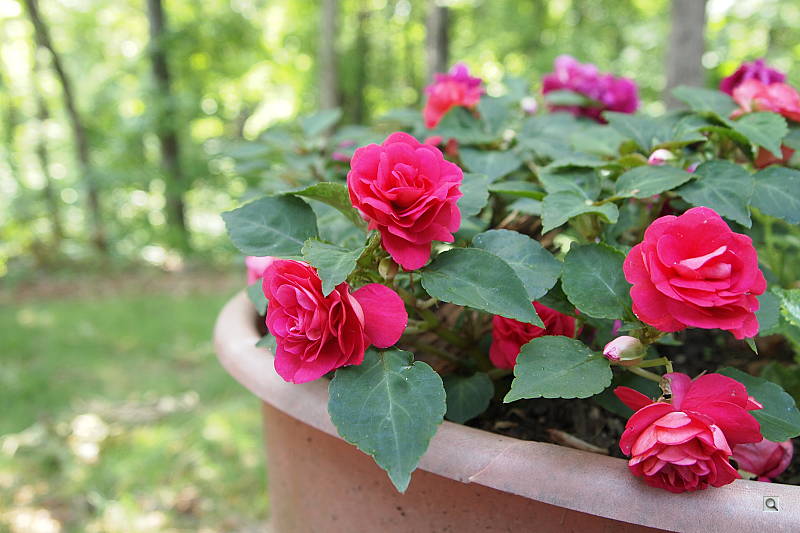 Sony Alpha NEX-3 Overview image 29