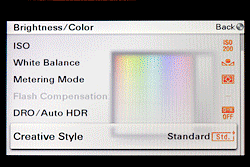 Sony Alpha NEX-3 Exposure image 12