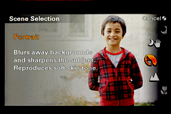Sony Alpha NEX-3 Menus image 8
