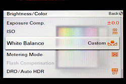 Sony Alpha NEX-3 Exposure image 4