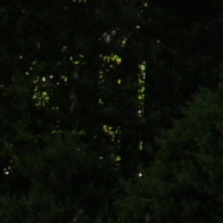 Sony Alpha NEX-5 Imaging image 60