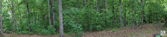 Better subject . The Sony NEX-3's Sweep Panorama is intended more for shots like this, I