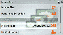 Sony Alpha NEX-5N Overview image 15