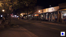 Sony Alpha NEX-5N Video image 10