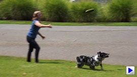 Sony Alpha NEX-5N Video image 3