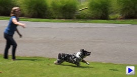 Sony Alpha NEX-5N Video image 6
