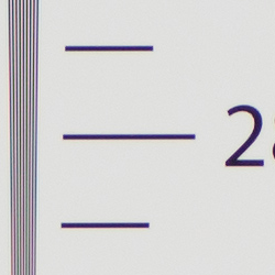 Strong detail to ~2,850 lines horizontal ACR converted RAW
