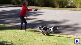 Sony Alpha NEX-7 Video image 3