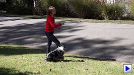 Sony Alpha NEX-7 Video image 2