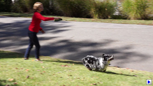 Sony Alpha NEX-7 Video image 1