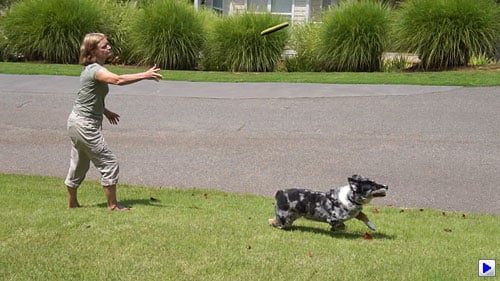 Sony Alpha NEX-C3 Video image 1