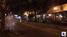 Sony Alpha NEX-C3 Video image 5