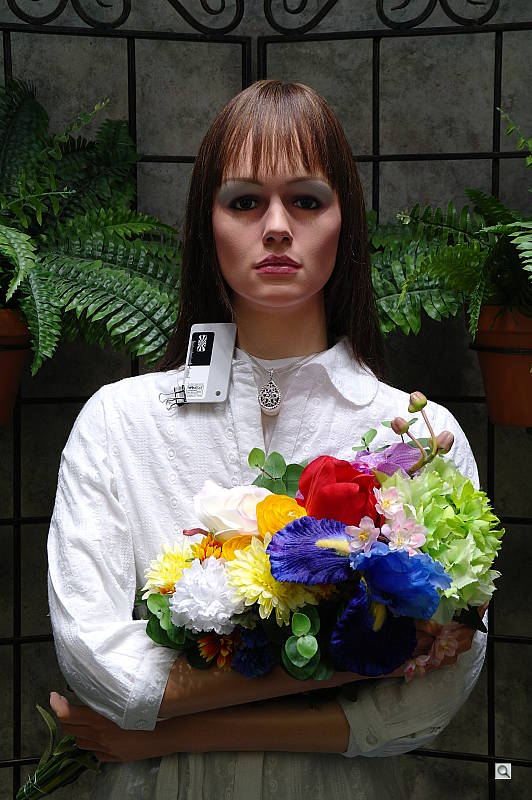 Samsung NX10 Exposure image 9