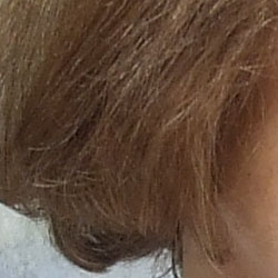 Subtle detail: Hair Noise suppression tends to blur detail in areas of subtle contrast, as in