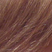 ISO 80