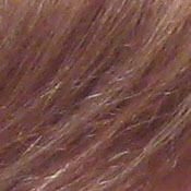 ISO 200