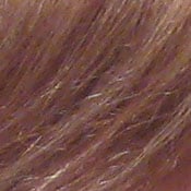 ISO 200