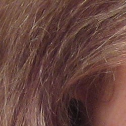 Subtle detail: Hair Noise suppression usually tends to blur detail in areas of subtle contrast, as