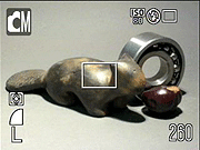 Canon PowerShot SD800 IS Operation image 1