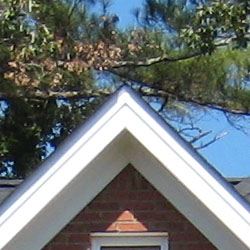 Very good definition of high-contrast elements. Even the pine needles in the distance can be made