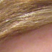 ISO 200